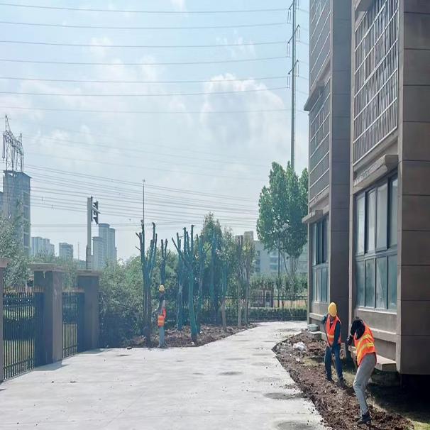 631821d8f035dd64a6273bd92c9ee9a