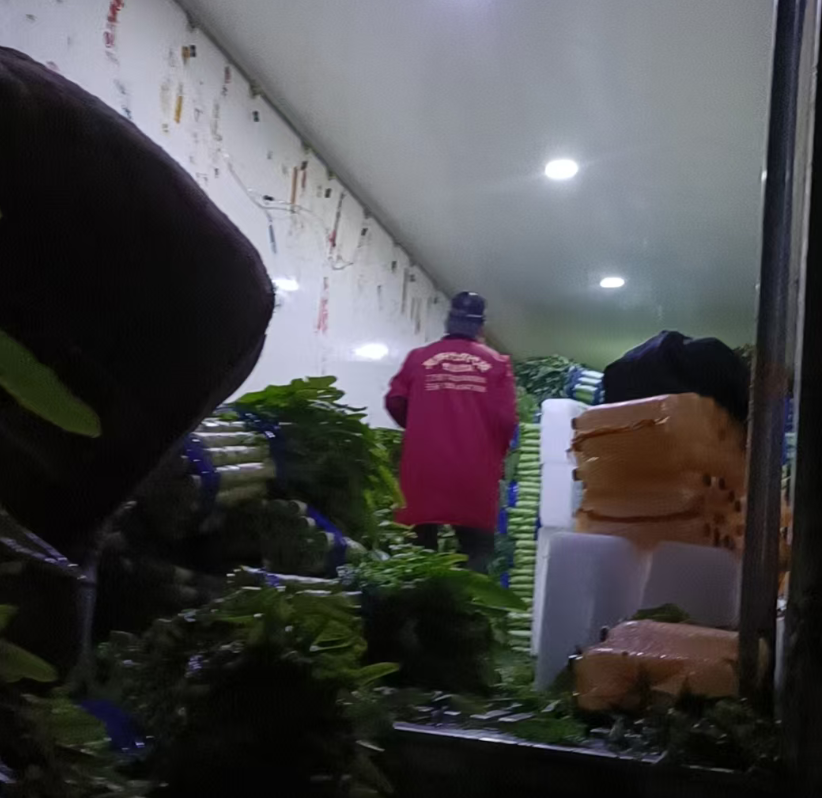 65858145db6b9db8028884b08f5361f6