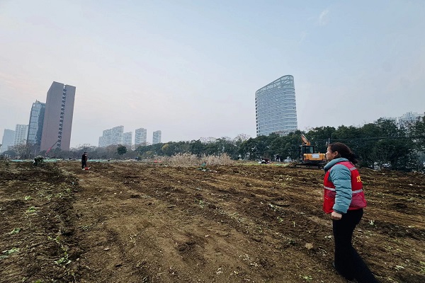 QQ图片20251231103814(16)