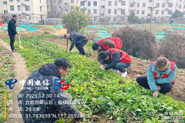 QQ图片20251231103536(29)