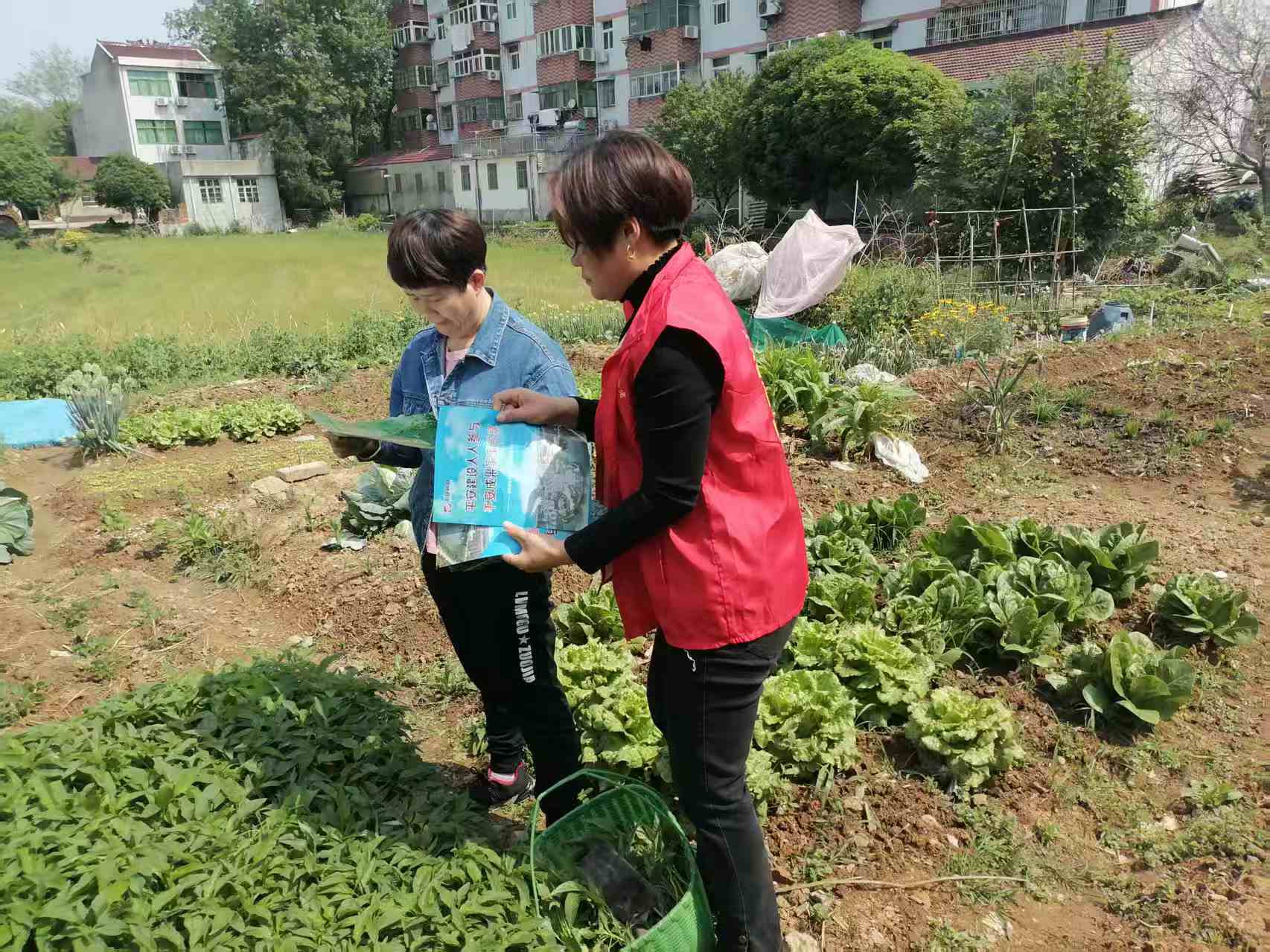 微信图片_20250425152606.jpg