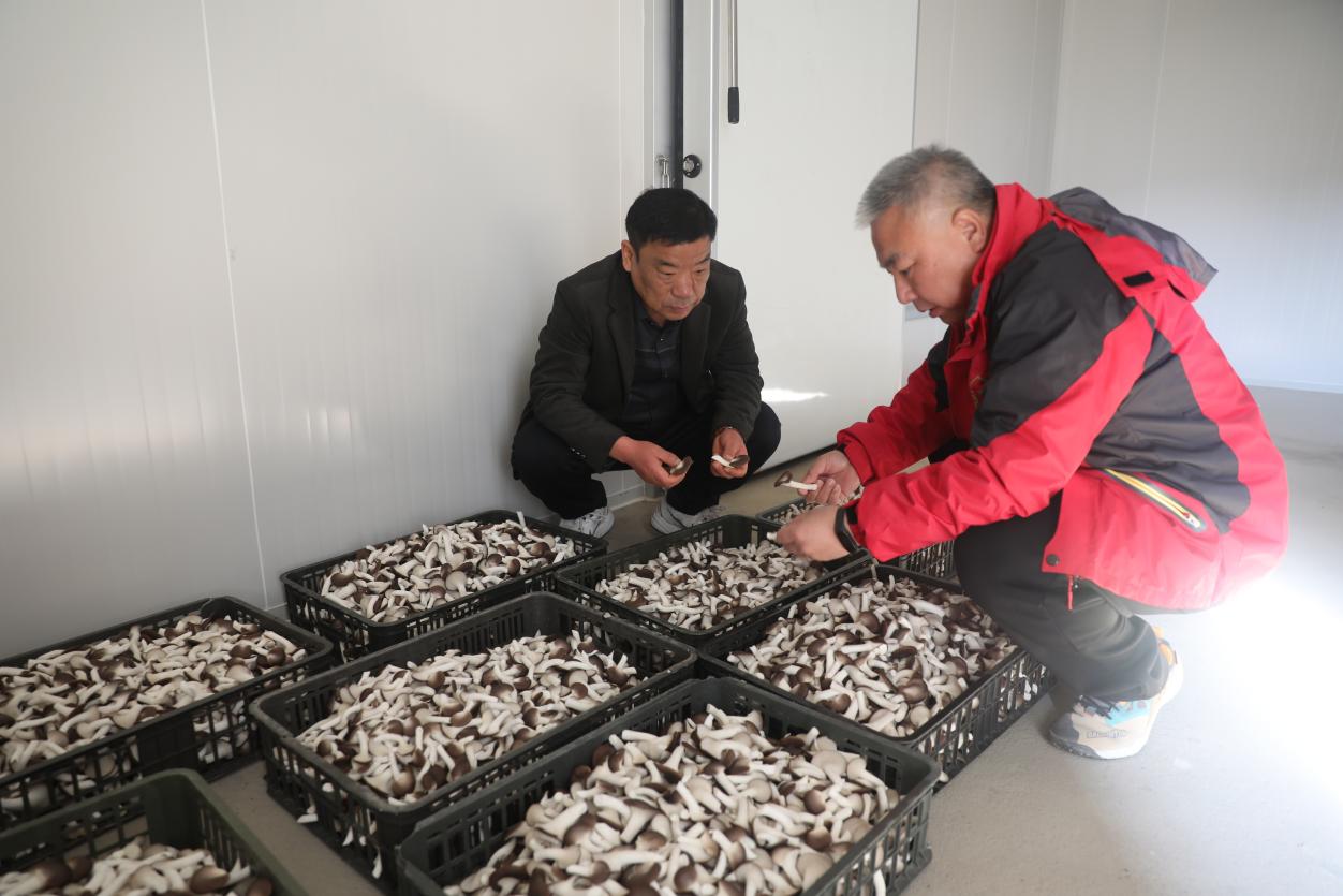 561612d90151c5e2b37aadf6622605f5