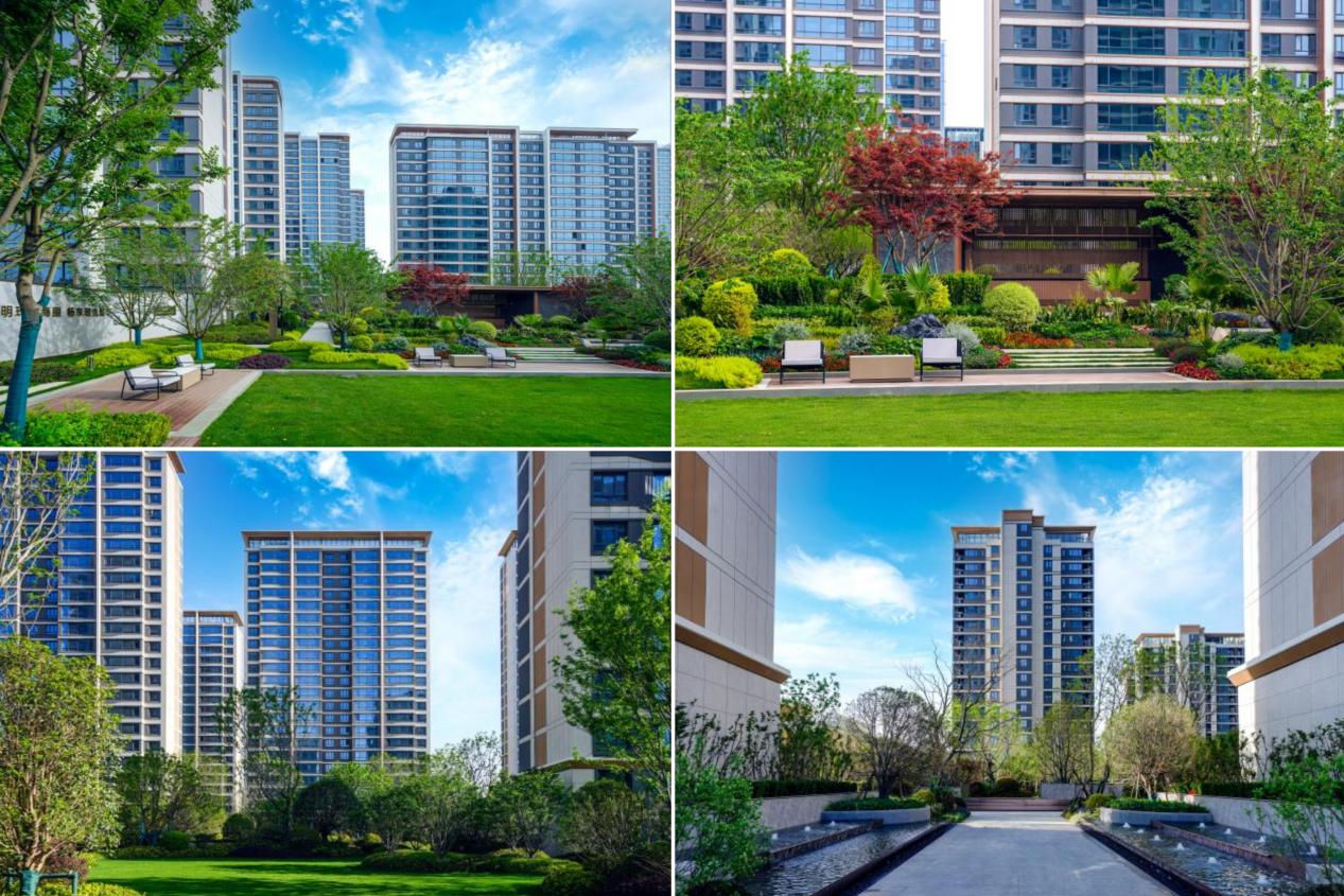 云启·锦上锦悦