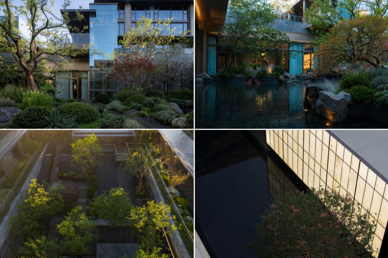 3815be19a9d3c65752a23cf9ce1e1532