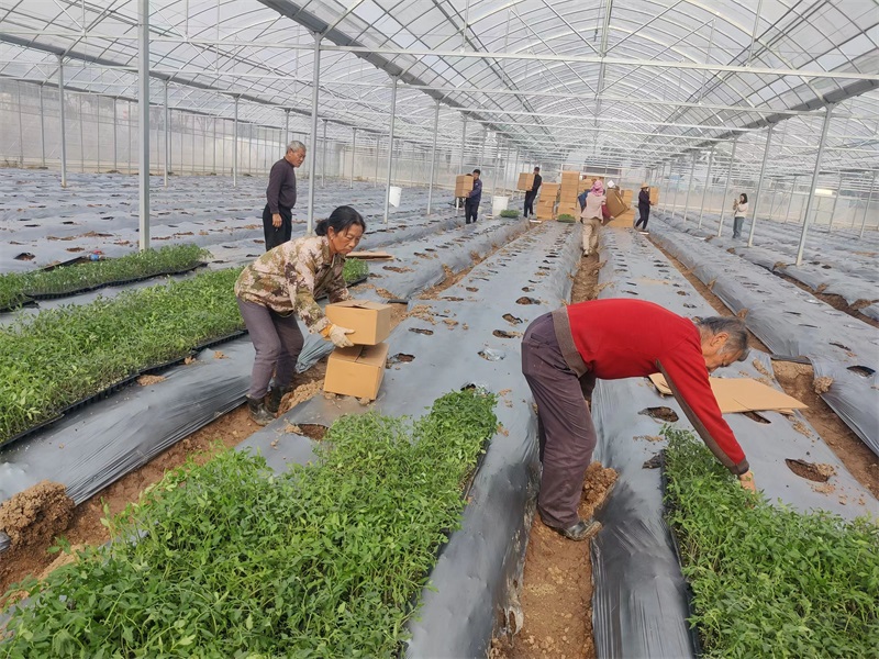 ec6e3fb9cbf5993a870fcdd5eb19291e