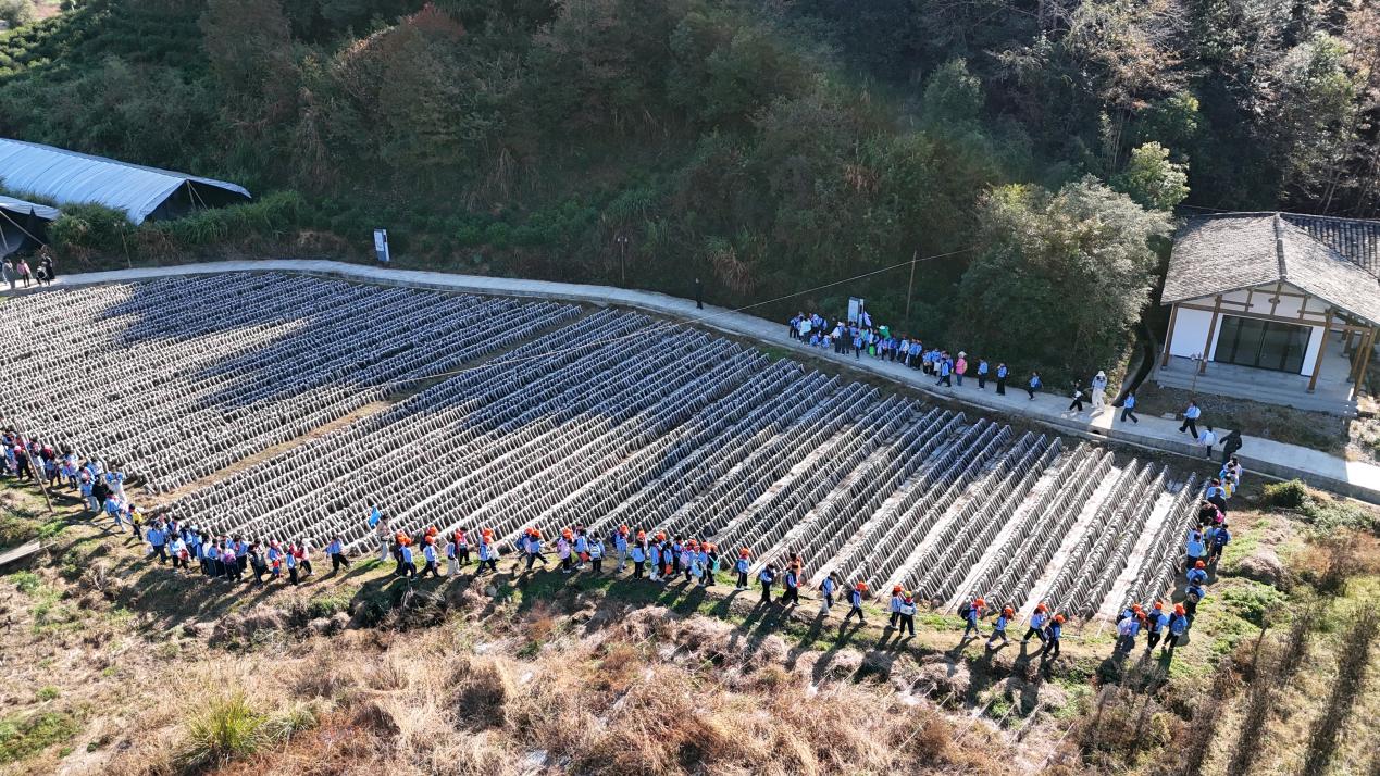 fa4a0e70e681b850d5e4068853c6669c