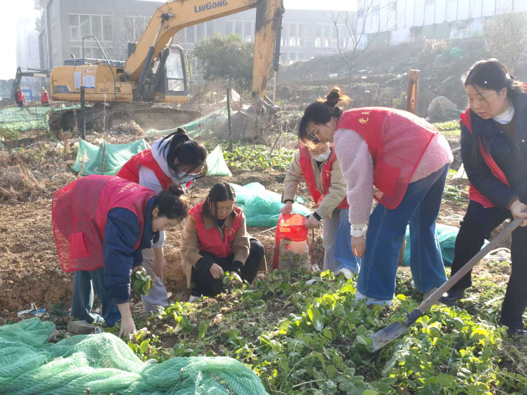 f219137c506ec9812d1ab7a3561ef043