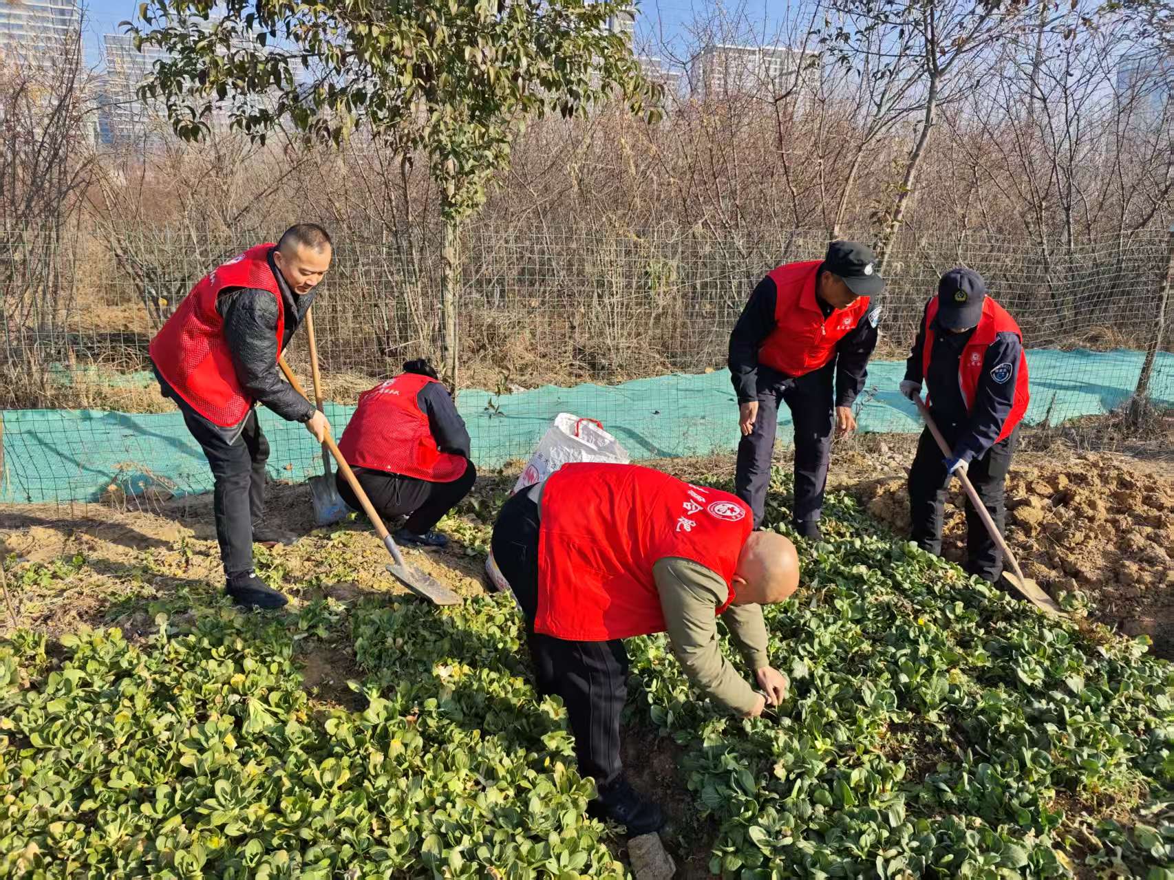 bb4fc432fe22f4722c9ac46332361bf1