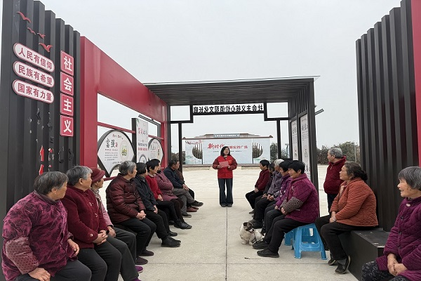 图片3