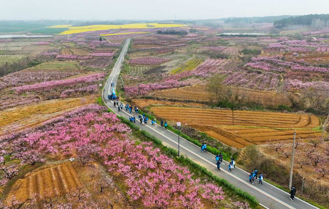 219fb0e6f756868cdf47b762281b9450