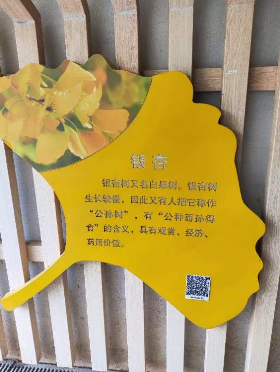 img4