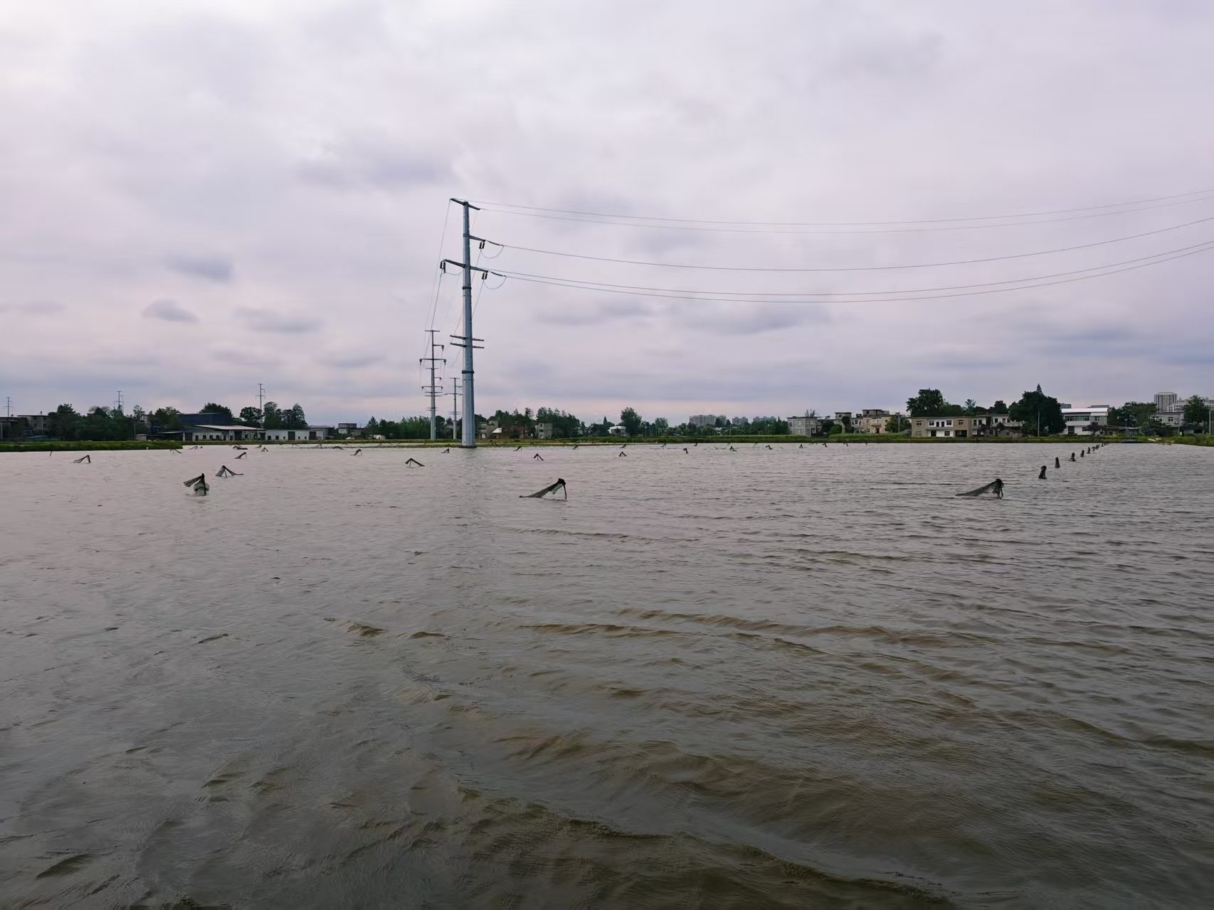 b00fcb2863ace3c0a2bd2bc57d2fe9c8