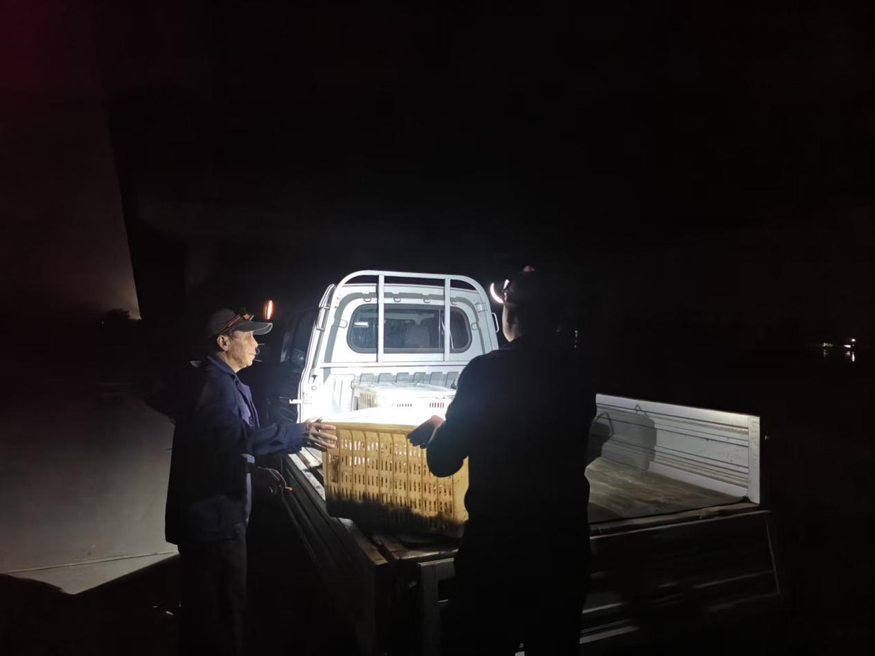 c9df4bb1fcd8cfadfbfa57b64e3d0aaf