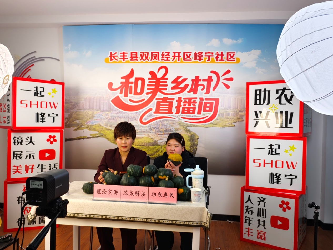 长丰（双凤）经开区峰宁社区：小集市架起便民桥 党建助力农产品“出村进城”（1）