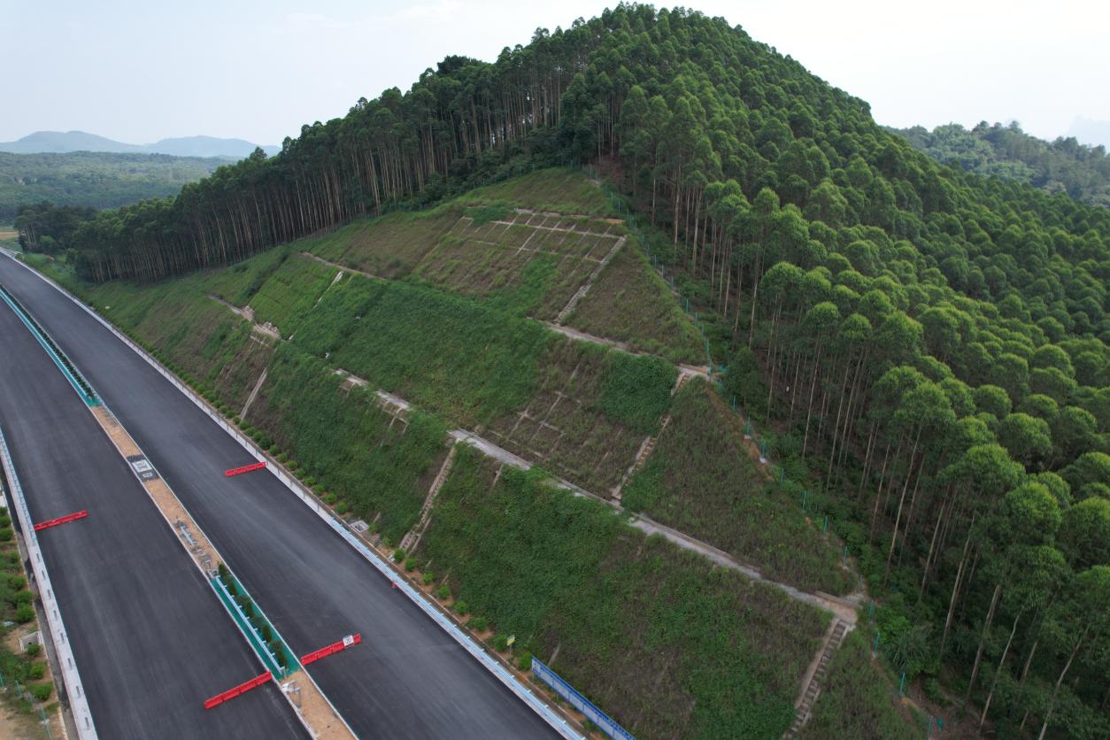 DJI_0510