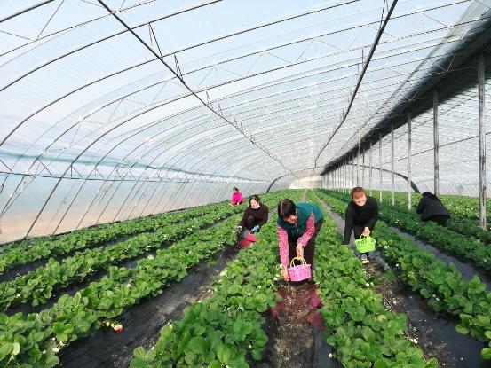 d85f26457a9df50de2171d303503fce