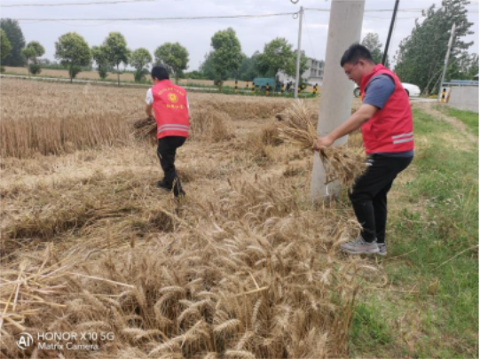 4325742833e5f082e3eb488120c8e97