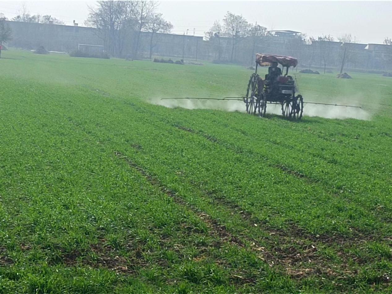 微信图片_20231207102045