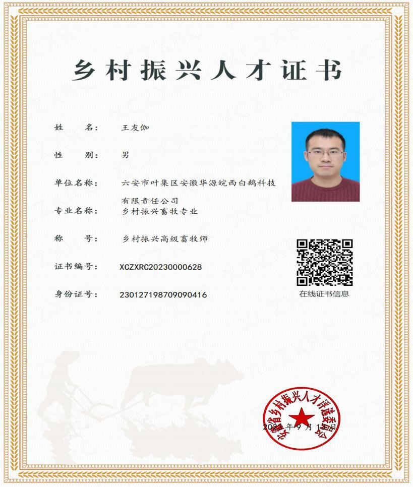 高级职称_00