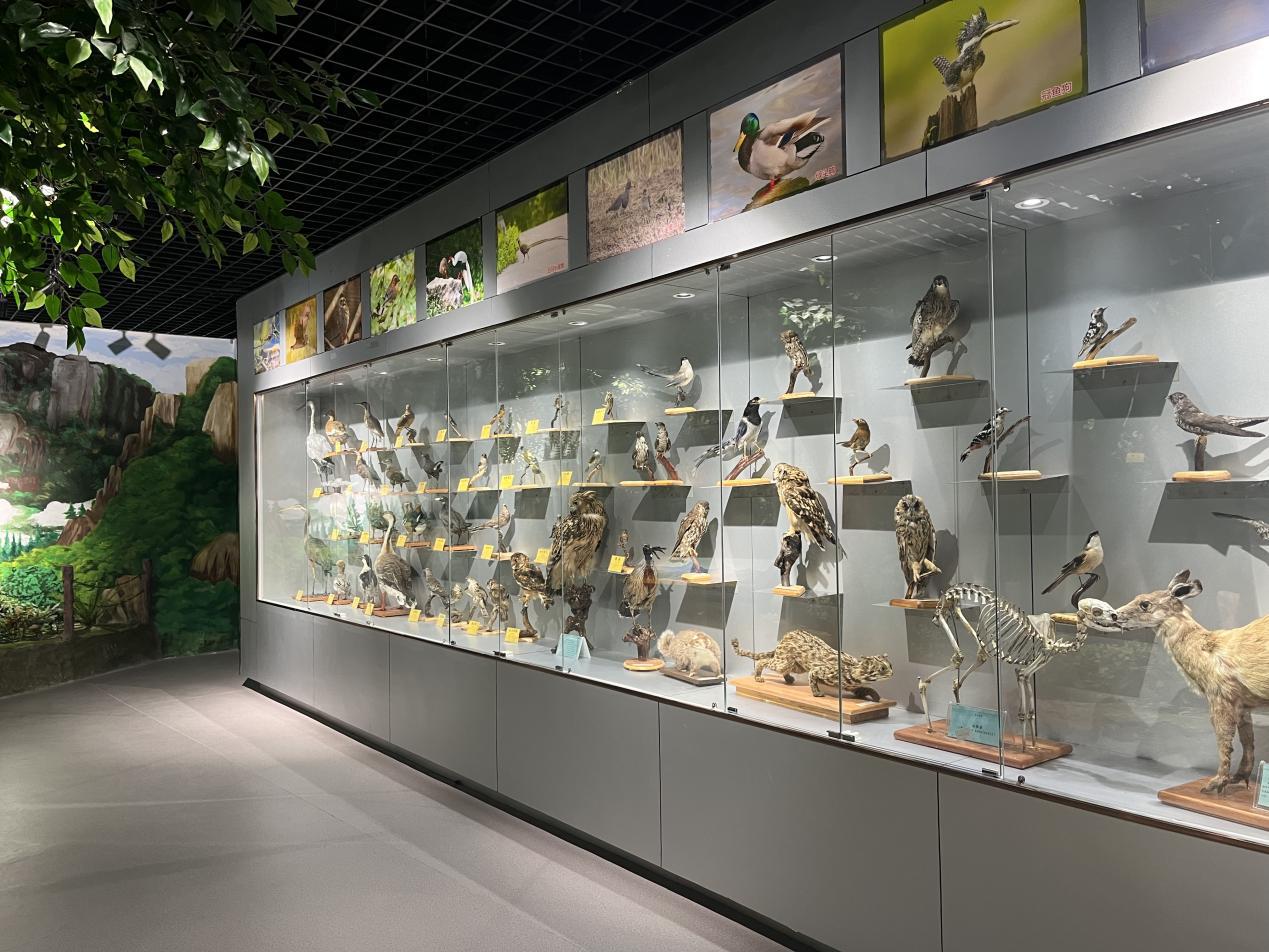 古井园国家级自然保护区动植物标本展览馆照片6