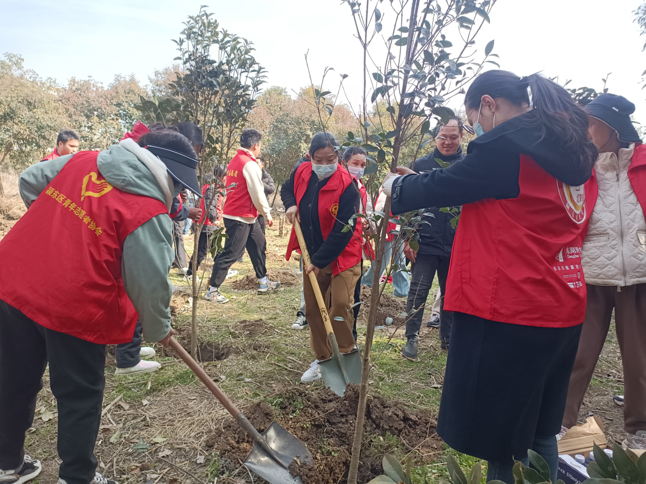 河东街道:党旗飘扬添新绿,携手同心筑家园2