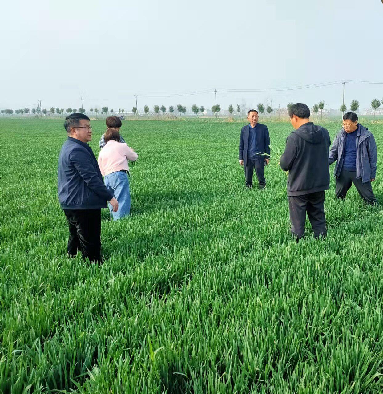 微信图片_20220317100033