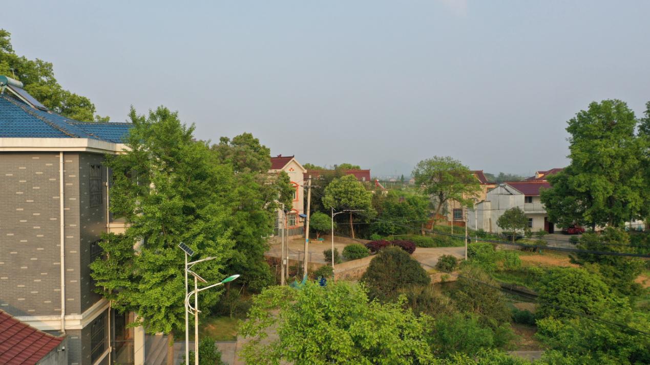 DJI_0366.JPG