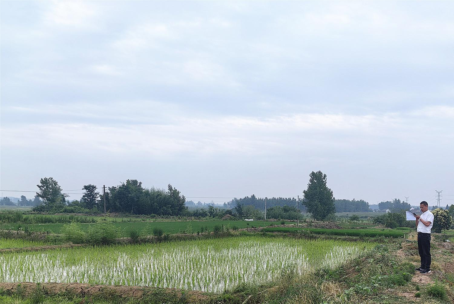 abf地