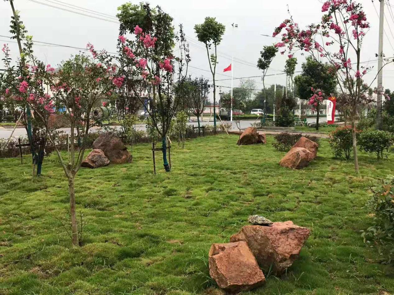 伍岗中心村街头游园