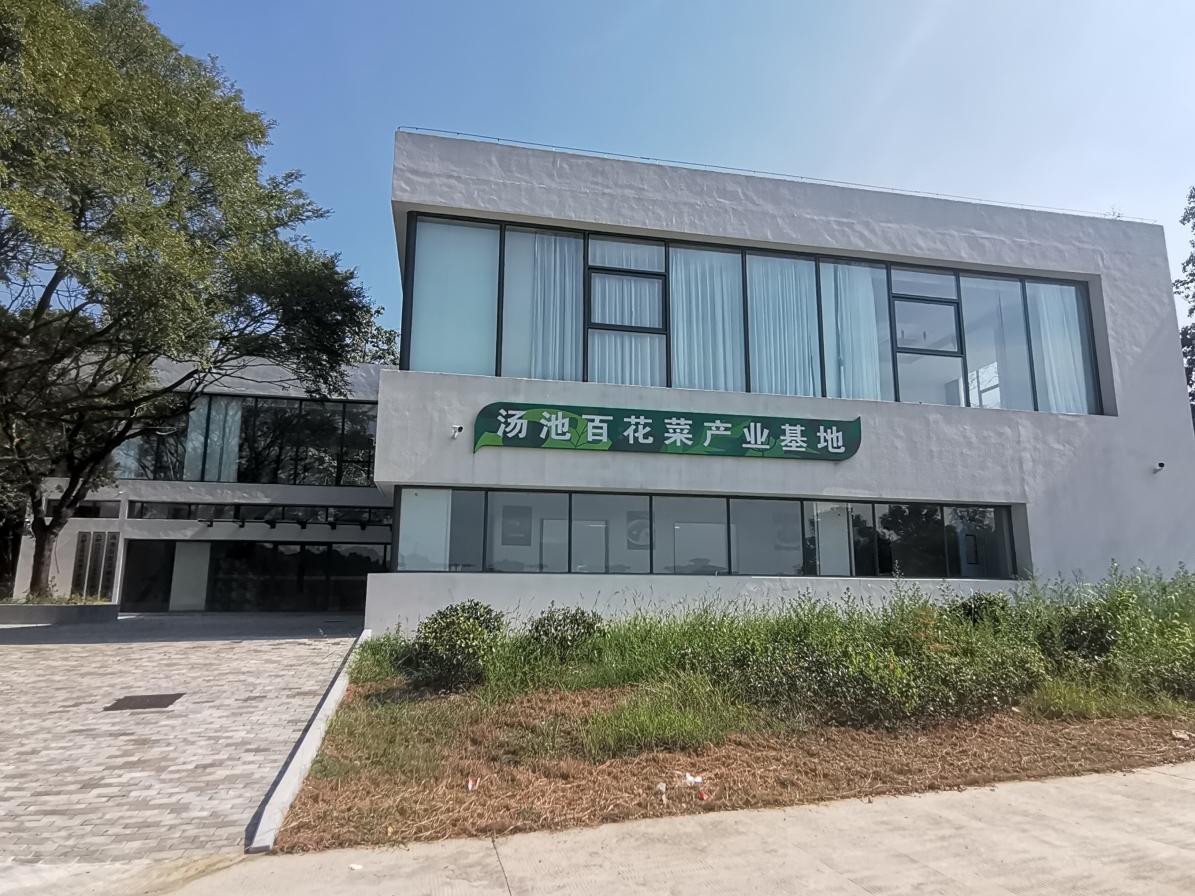 百花菜产业基地