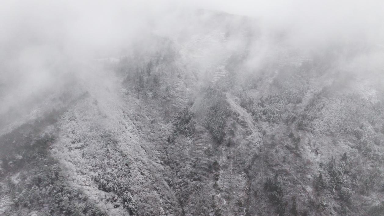 DJI_20250126085216_0547_D