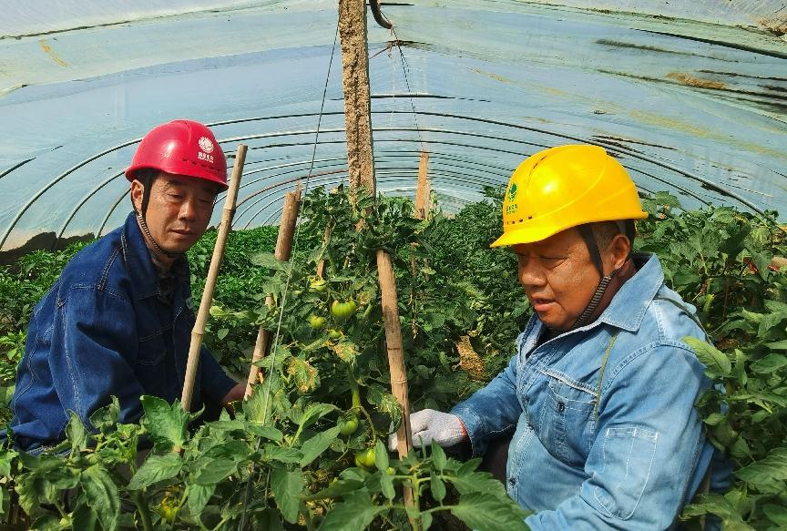 微信图片_20250407162646