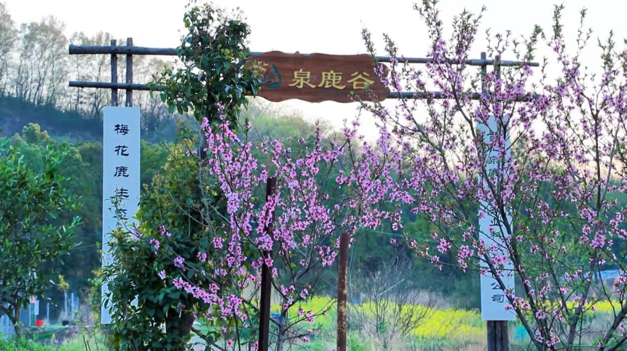 微信截图_20250407092724