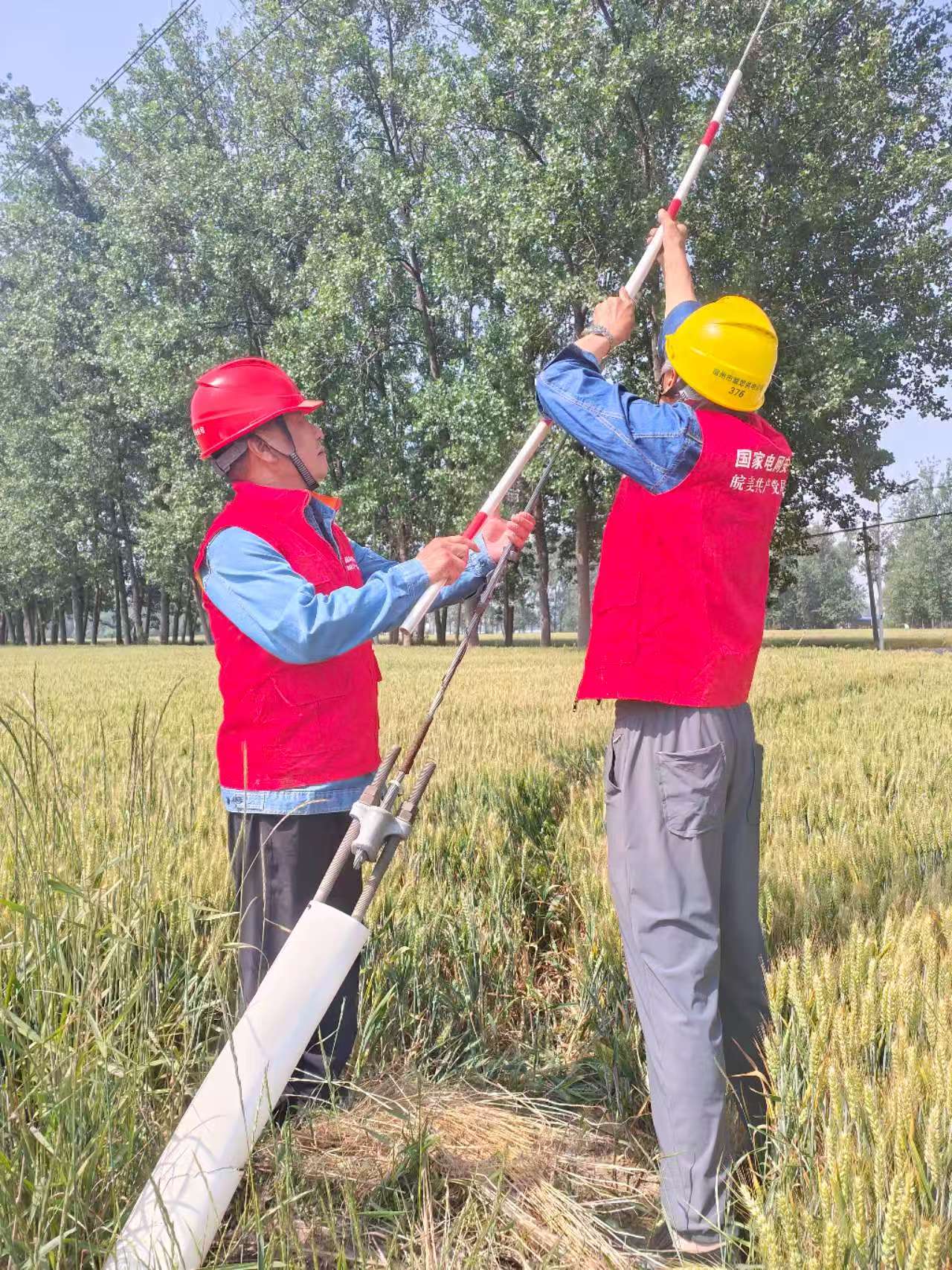 微信图片_20250521094904
