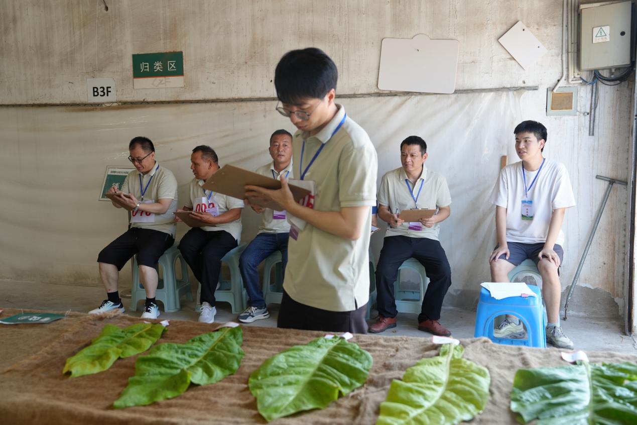 微信图片_20250710144133