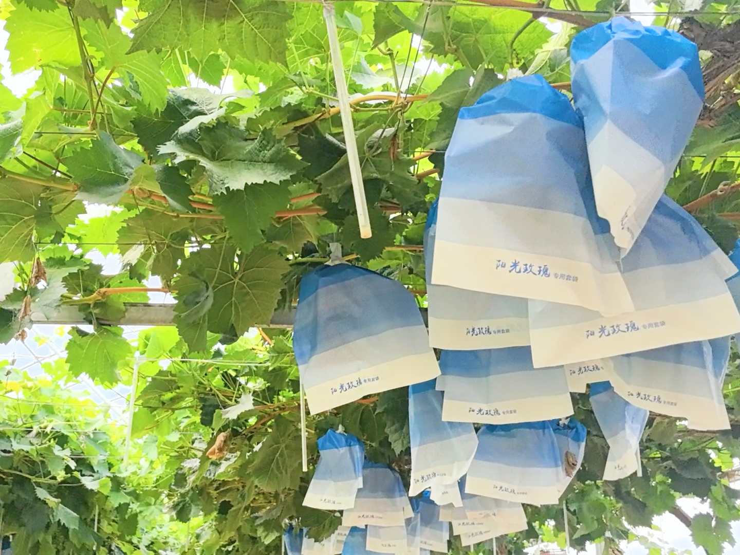 f685c5b36aa1a577130a4b775ccc7332