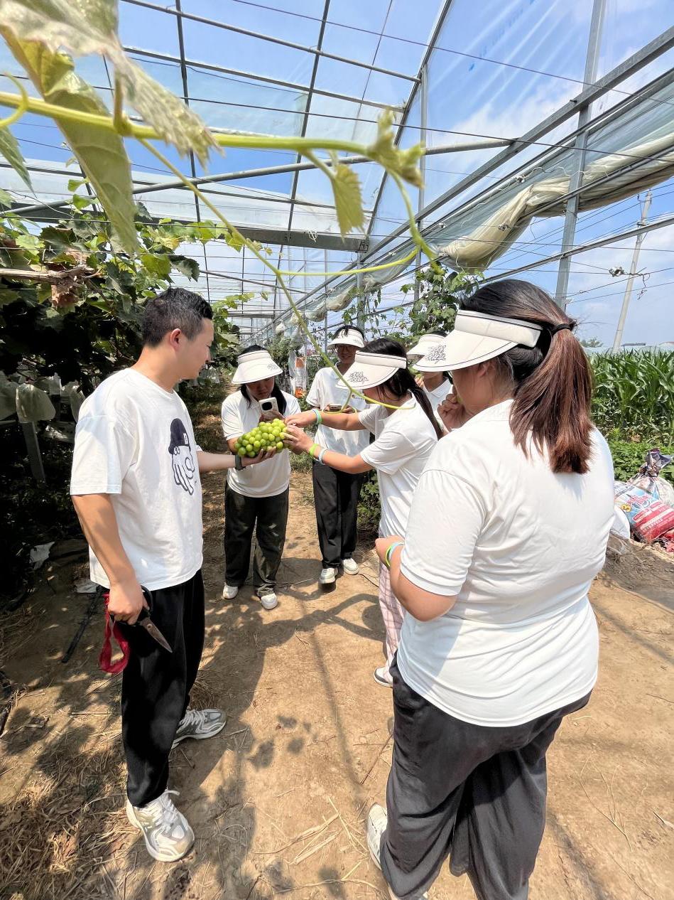 2.团委书记杨逍讲解