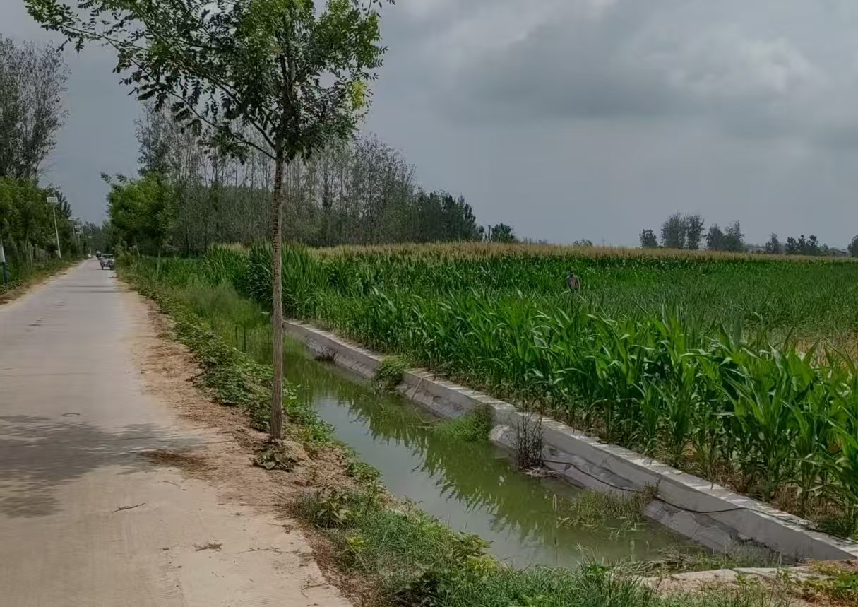 205e9ce07682f5c4aeae7dc16aa095c