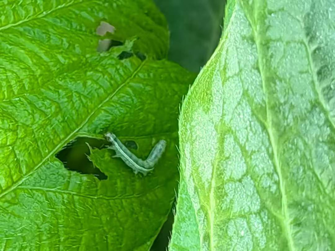 382f370b3c24891b1b48fba8c24b128