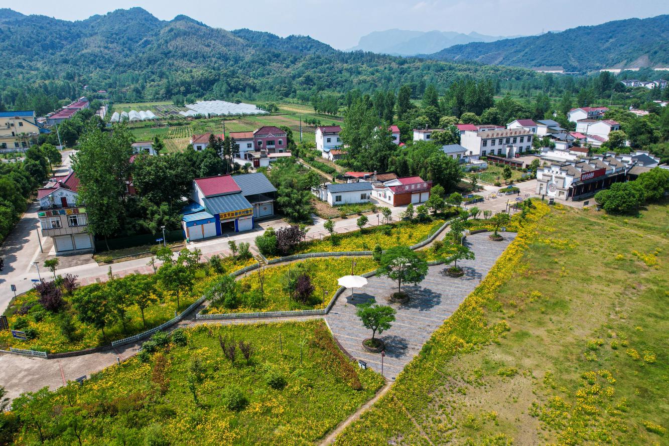 南焦湾村被青山温柔环抱，村间小径似脉络蜿蜒，串起错落屋舍，繁花与绿树填充其间，在广袤大地上勾勒出一方烟火与诗意交融的空间