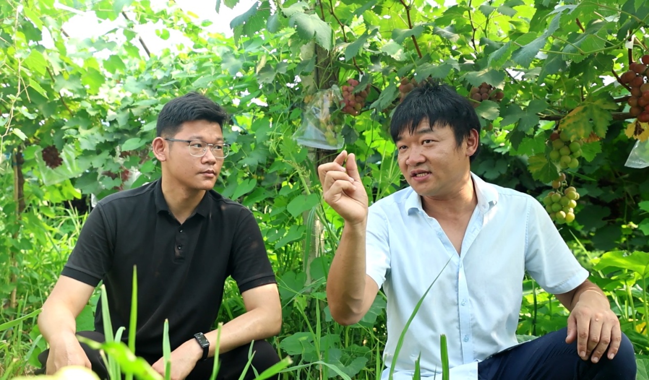 符青云（右一）给游客介绍葡萄采摘技巧.JPG