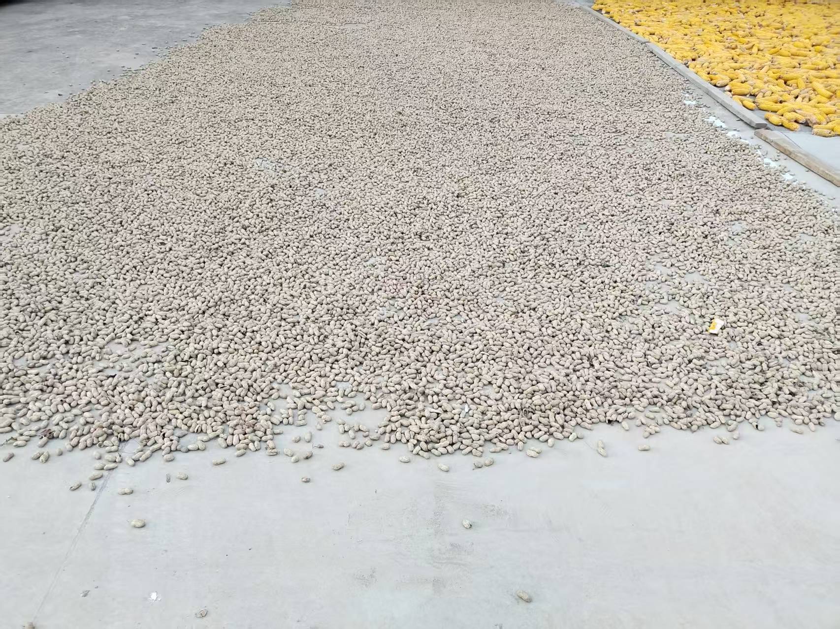 微信图片_20250902084550