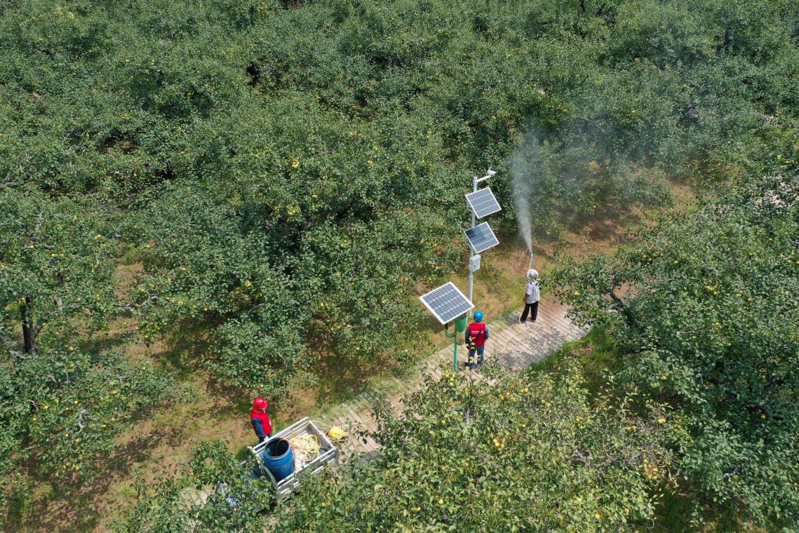 DJI_0049
