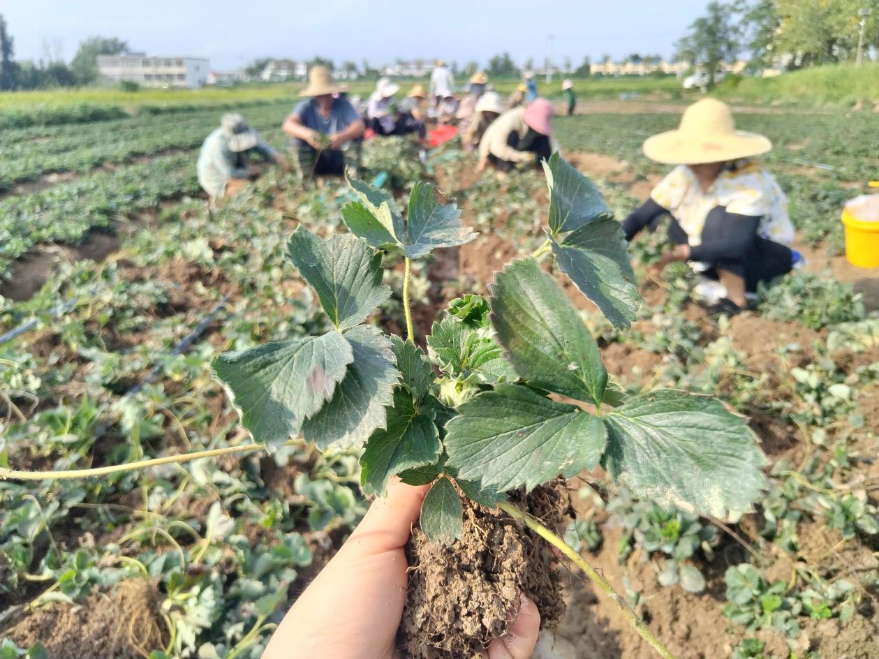 微信图片_20250915165302