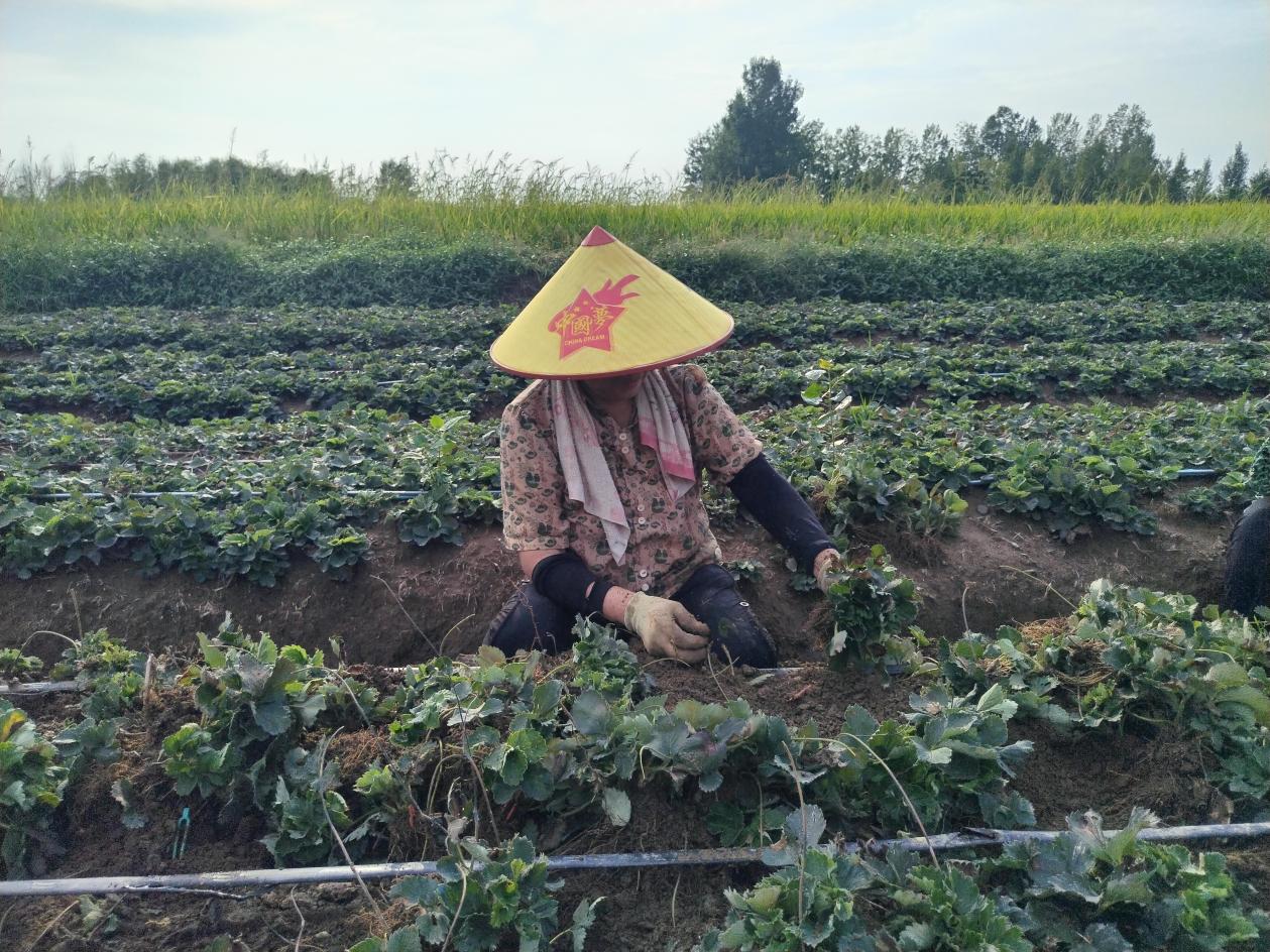 微信图片_20250915165545