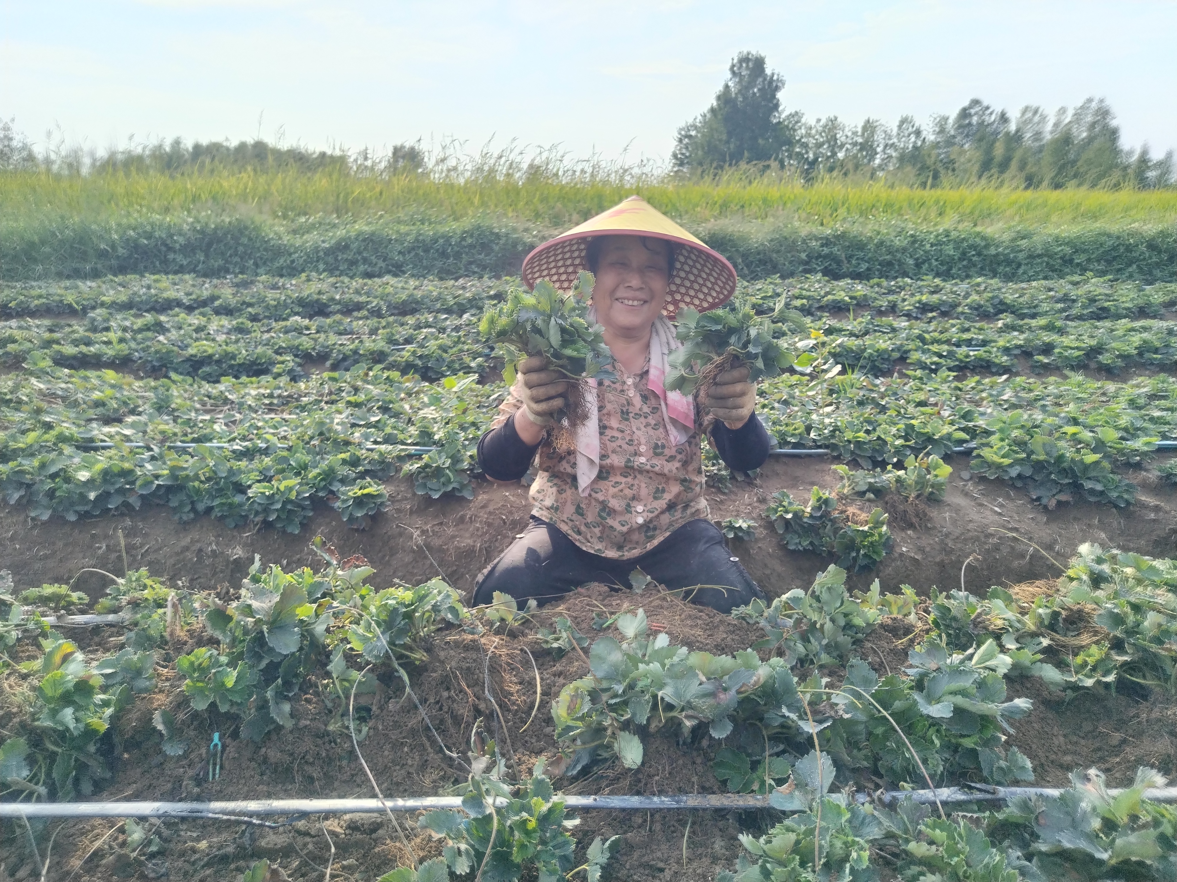 微信图片_20250915165253