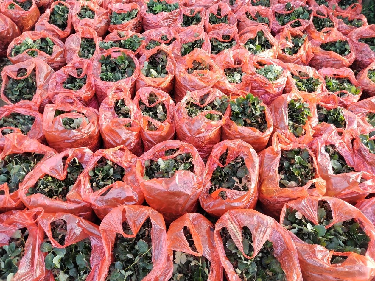 微信图片_20250915165320