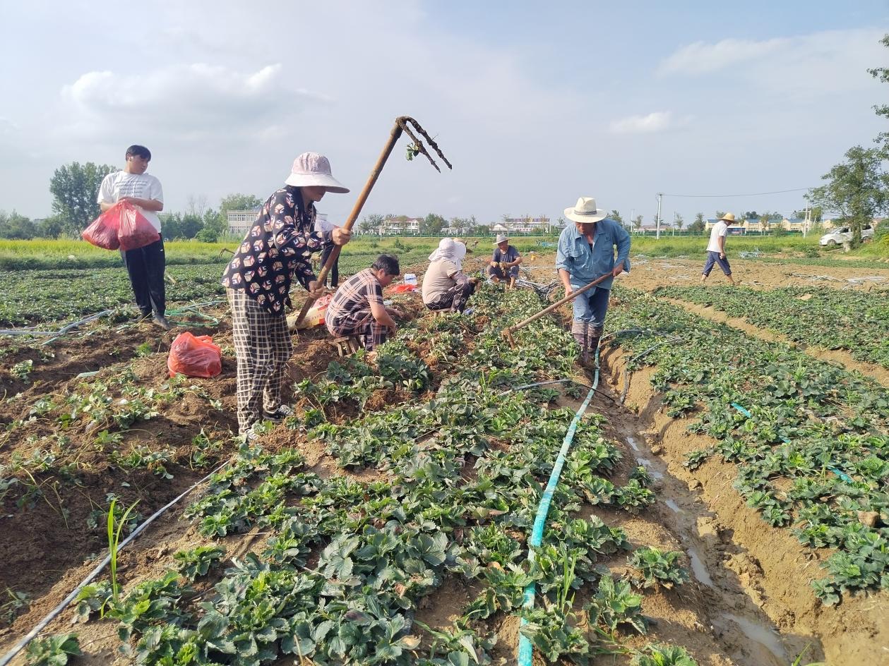 微信图片_20250915165155