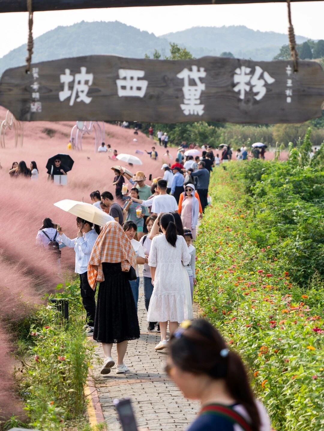 3969005013ffb2d86b47818795fad6f4