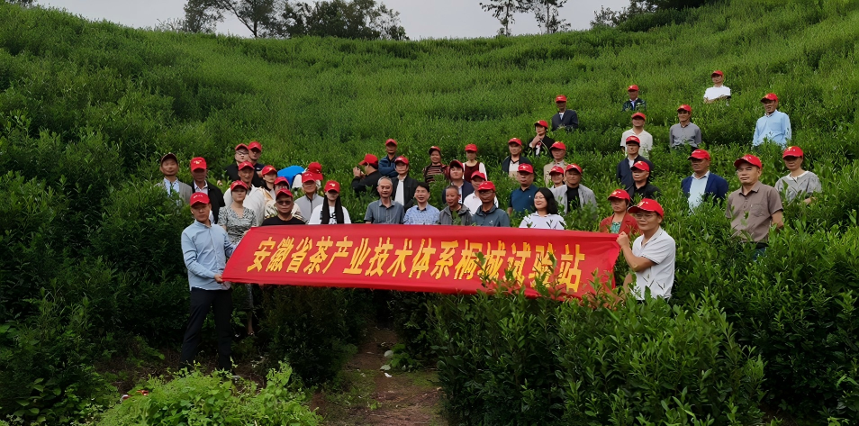 DJI_20250920135813_0666_D(1)